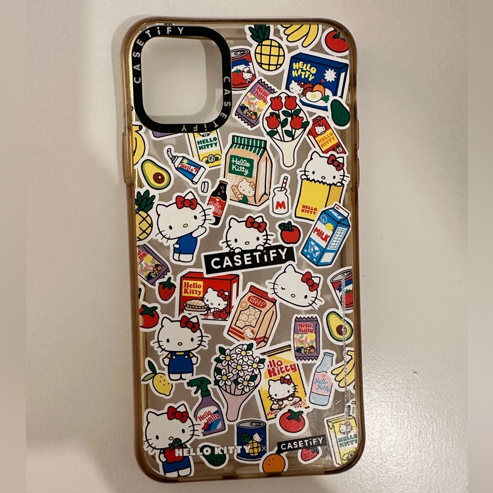 iPhone 11 Pro Max Casetify
